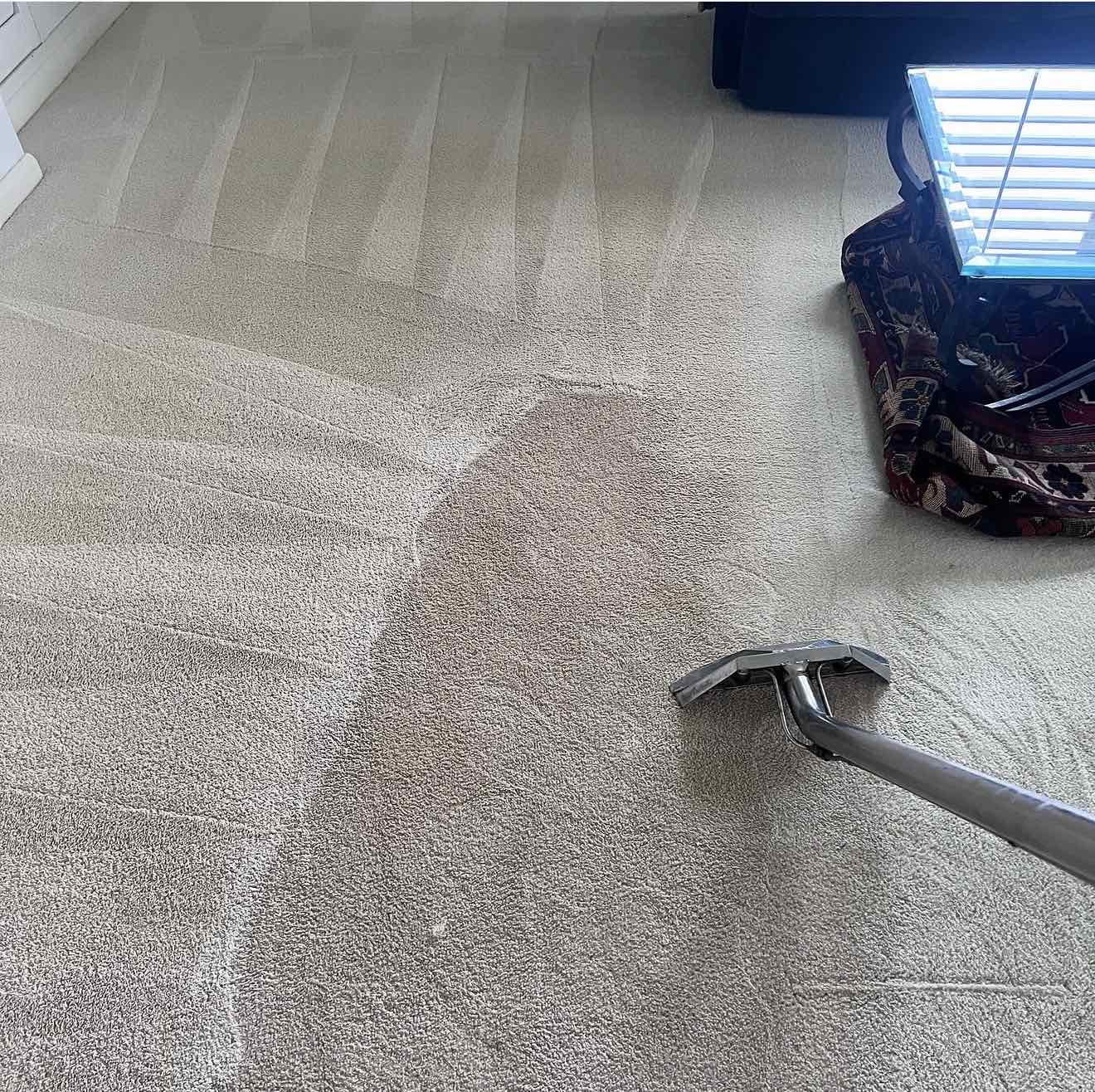 Carpet Cleaning