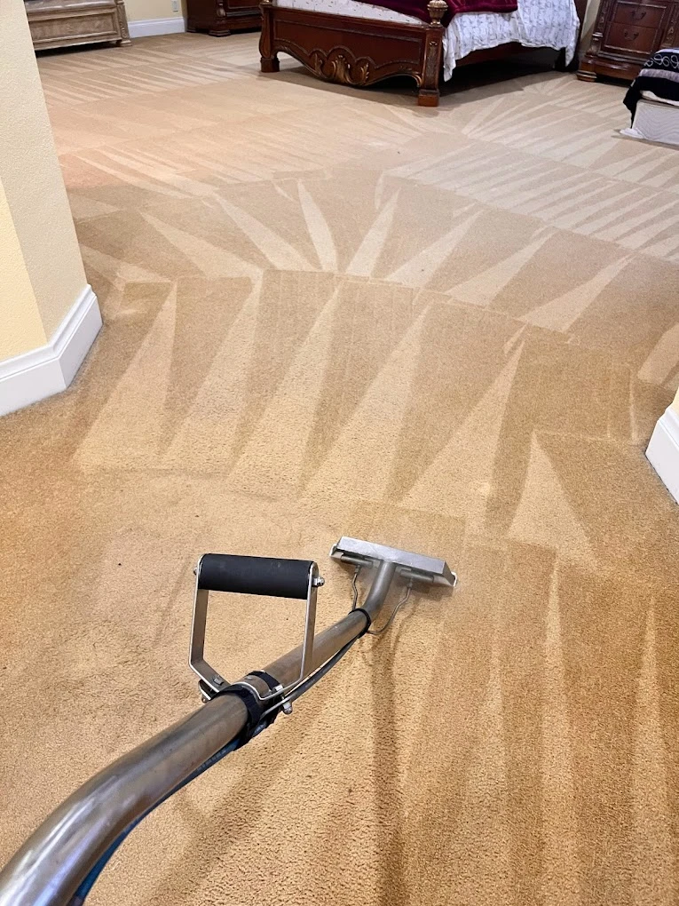 Bedroom carpet with fresh extraction lines after steam cleaning