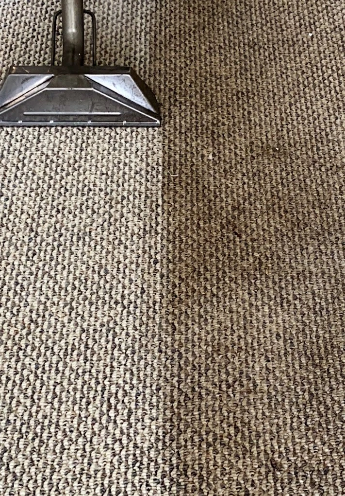 Close-up of a steam wand cleaning a strip of berber carpet